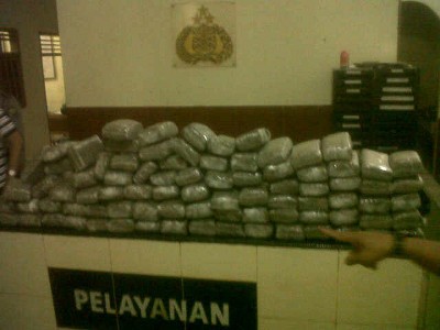 Polisi Sita 90 Kg Ganja Kering, Pelaku Kabur