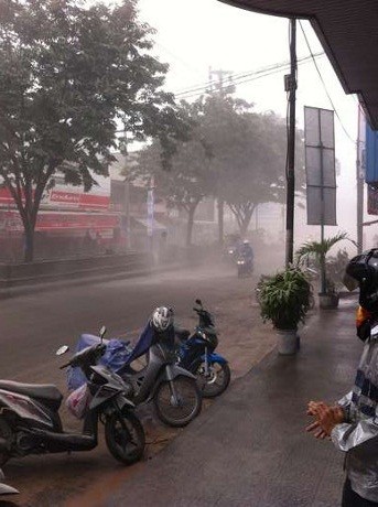 Abu Vulkanik Gunung Kelud Tumbangkan Pohon-pohon di Solo