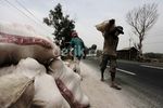 Harga Melon Petani Turun Karena Abu Kelud