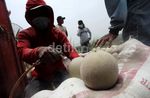 Harga Melon Petani Turun Karena Abu Kelud