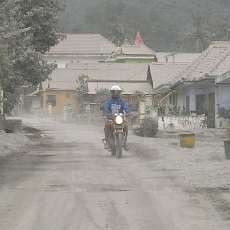 Ternak Pengungsi Kelud di Malang Dapat Bantuan Pakan