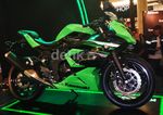 Kawasaki Lahirkan Ninja RR Mono dengan 1 Silinder
