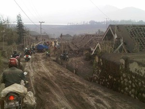 Dilarang ke Rumah, Pengungsi Kelud Ini Hilir Mudik Selamatkan Ternak