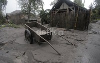 Ketebalan abu dijalan dan atap rumah warga sekitar 30-40 cm.     