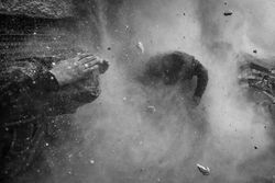 Ini Foto Terbaik World Press Photo 2014