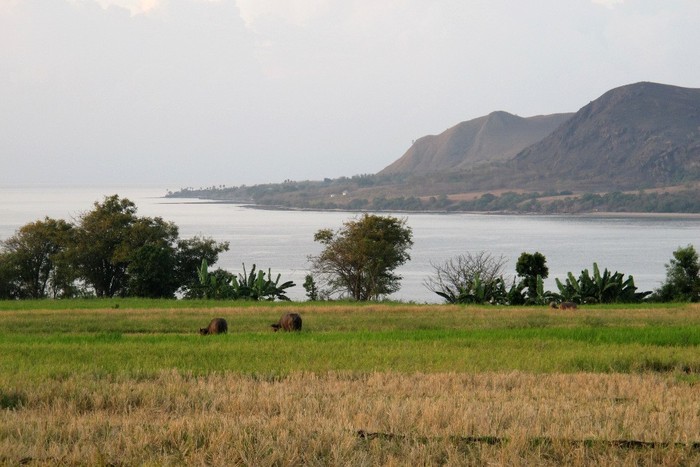 Menyambut Pagi di Kaki Wae Rebo