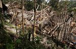 Abu Vulkanik Kelud Rusak Peternakan Ayam