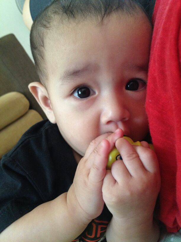 Arshaka Bima Putra, 11 Bulan, Lelaki