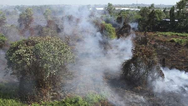 Medan Mulai Dilanda Kabut Asap Akibat Kebakaran Lahan