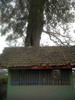 Kisah Makam Babat Alas Pandansari yang Lolos dari Amukan Abu Kelud