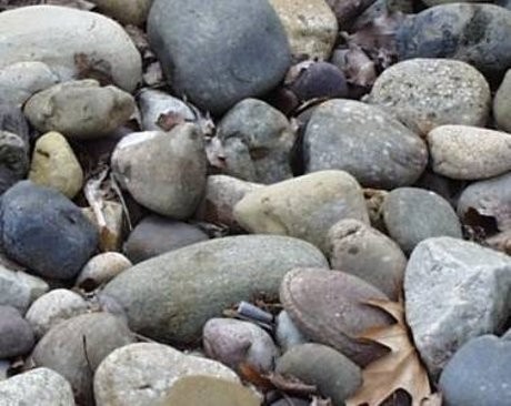 Selingkuh, Pasangan Kekasih di Pakistan Dirajam Hingga Tewas