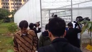 Jokowi Tengok Proyek Cabe-cabean di Rusun Marunda