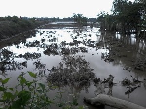 Petani Bingung karena Sawahnya Jadi Seperti Ini Akibat Lahar Dingin Kelud