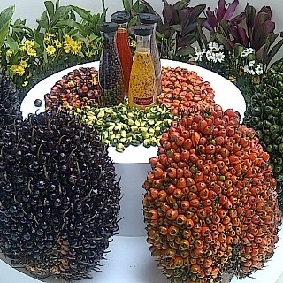 Pengusaha Turki Lebih Kenal Sawit Malaysia daripada Indonesia