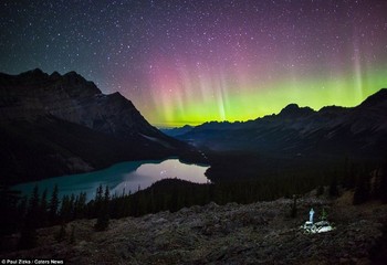 Pencahayaan alam yang terlihat dramatis dari Aurora Borealis, kali ini gambar diambil diatas Danau P Peyto,Taman Nasional Banff. (kredit foto: Zizka.ca)