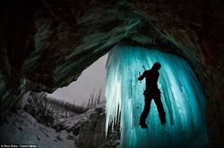 Foto Selfie Spektakuler di Alam Liar