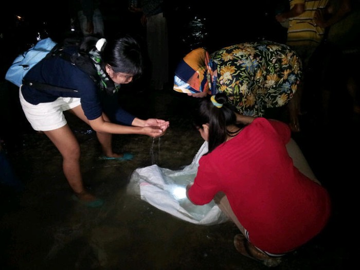 Bau Nyale, Cari Berkah dari Puteri Cantik Mandalika