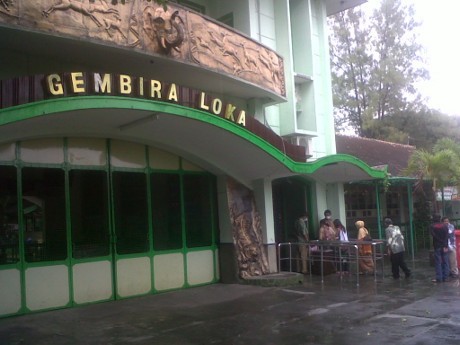 Diguyur Hujan Abu, Seluruh Satwa di Bonbin Yogya Tetap Sehat