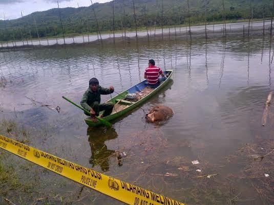 Mayat Wanita Tanpa Kepala Gegerkan Malang