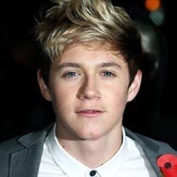 Terjebak di Lift, Niall Horan One Direction Panik