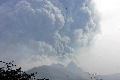 Pulang ke Rumah, Pengungsi Kelud Berebut Makanan di Dapur Umum