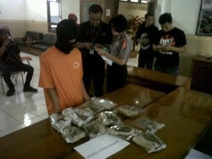 Berdalih tak Lagi Bisa Jualan di Kaki Lima, Perantau Ini Beralih Jualan Ganja