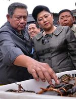 Lawatan SBY di Sulawesi Selatan