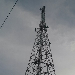 Menara BTS di Taman Nasional Kutai Terancam Ditebang