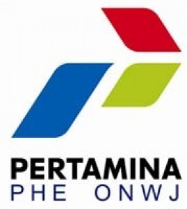 5 Perusahaan Ini Paling Banyak Sedot Minyak RI Tahun Lalu