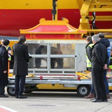 Tiba di Belgia, 2 Panda Raksasa Asal China Disambut Perdana Menteri