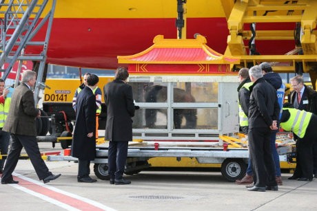 Tiba di Belgia, 2 Panda Raksasa Asal China Disambut Perdana Menteri