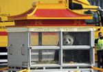 China Sewakan 2 Panda ke Belgia