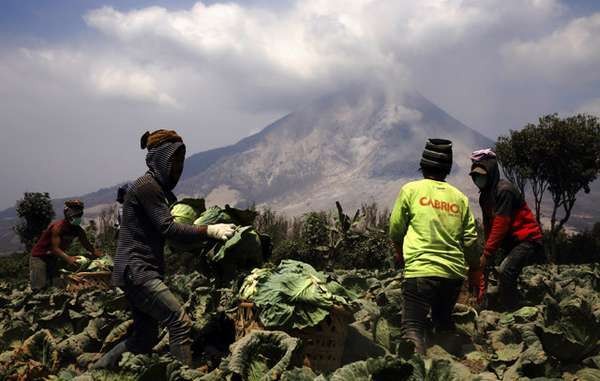 Unimed Data Warisan Budaya yang Tertimbun Abu Sinabung