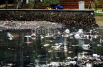 Kolam Taman Langsat Dipenuhi Sampah
