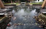 Kolam Taman Langsat Dipenuhi Sampah