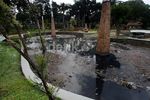Kolam Taman Langsat Dipenuhi Sampah