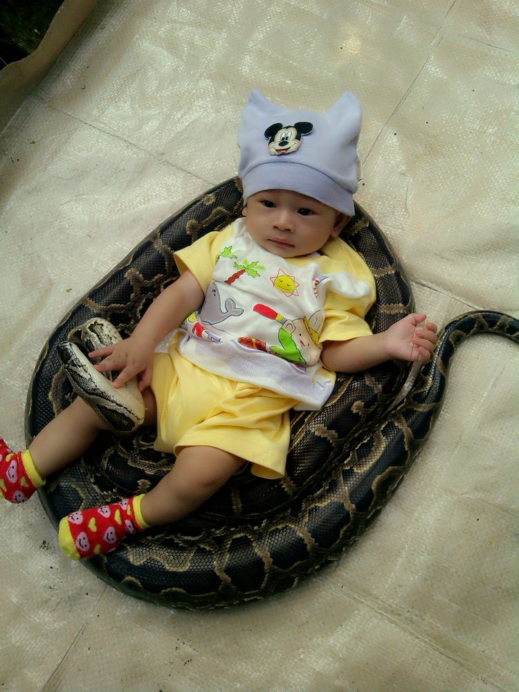 Azka Ar Rasyid, 9 Bulan, Lelaki