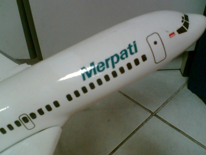 Kemenhub: Merpati Lebih Cocok Jadi Pesawat Carter