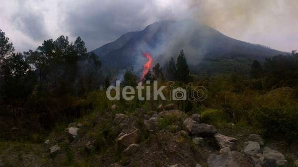 Kebakaran Lahan di Riau Hanguskan 90 Rumah Warga