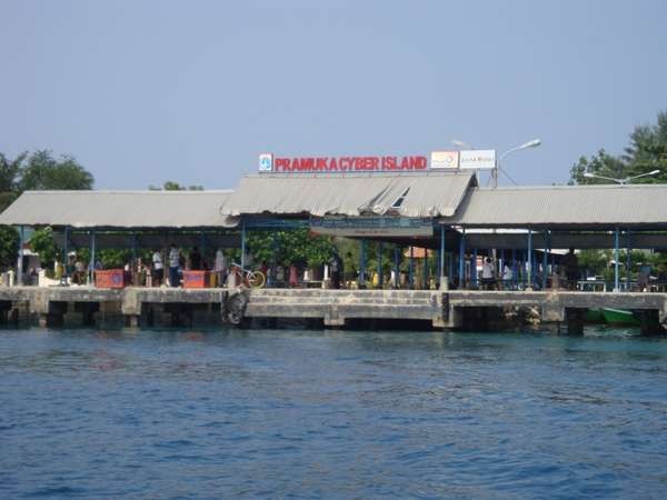 Jangan Salah, Jakarta Juga Punya Taman Nasional