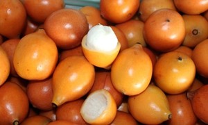 Achacha, si Buah Mungil Primadona Baru Superfood