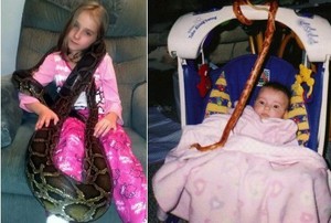 Gadis Cilik Pemberani, Sejak Bayi Hidup Bersama Anaconda dan Phyton