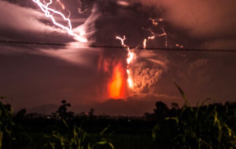 5 Foto Mata-mata Terbaik Pekan ini