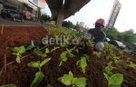 Kolong JLNT Tanah Abang-Kp Melayu Dipercantik