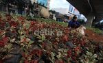 Kolong JLNT Tanah Abang-Kp Melayu Dipercantik