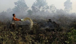Titik Panas Kebakaran Lahan Semakin Menyebar di Sumut