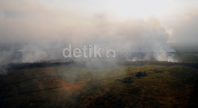 Cagar Biosfer di Riau Terbakar