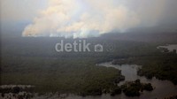 Asap mengepul dari kawasan Cagar Biosfer.