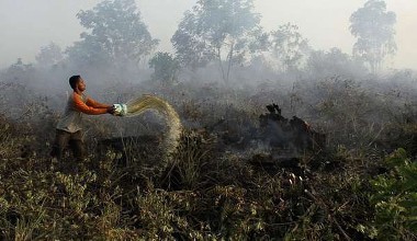 Ya Ampun! Ada 7.900 Ha Hutan dan Lahan di Riau yang Terbakar