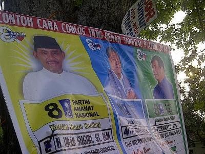 Caleg Penghuni Pohon Semakin Bertebaran